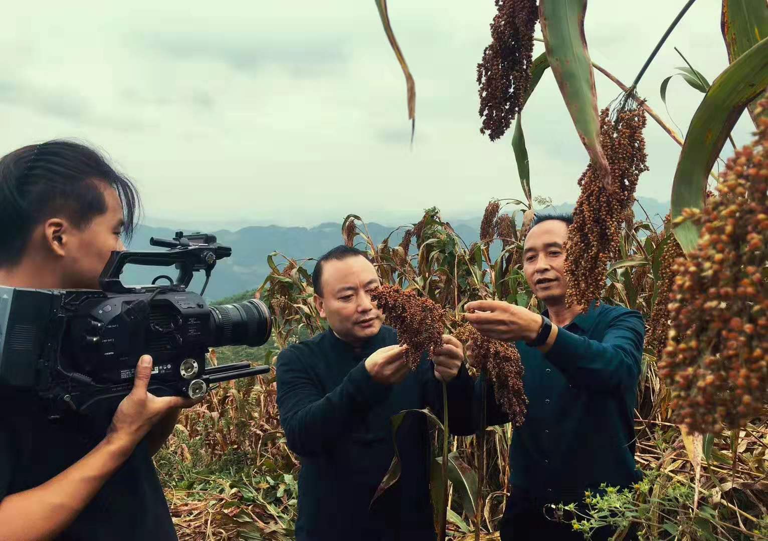 &#21315;&#20159;&#24179;&#21488;&#45;&#21315;&#20159;&#65288;&#20013;&#22269;&#65289;&#19968;&#31449;&#24335;&#26381;&#21153;&#24179;&#21488;